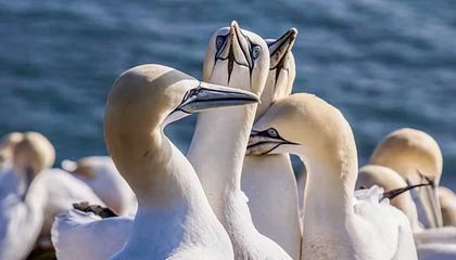 世界杯比赛直播地址-足协公布U20国家队名单 将参加中乙第一阶段联赛