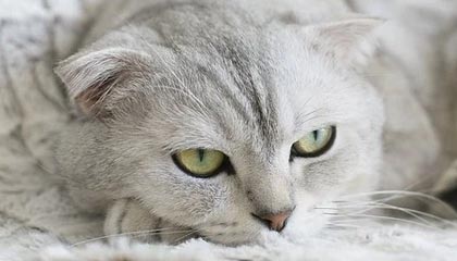 世界杯比赛直播地址-足协公布U20国家队名单 将参加中乙第一阶段联赛